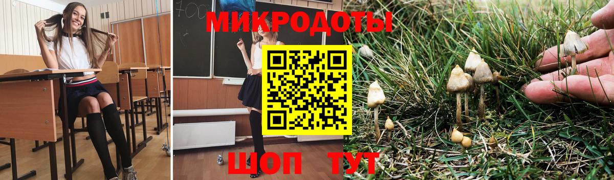 где продают наркотики  Вход с VPN  Галлюциногенные грибы ЛСД  Братск  Псилоцибиновые грибы MAGIC MUSHROOMS 