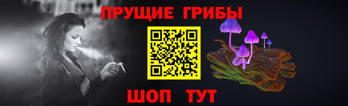 Псилоцибиновые грибы Psilocybine cubensis Братск